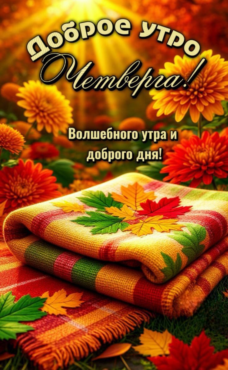 Доброе утро Четверг!
Волшебного утра и доброго дня!
