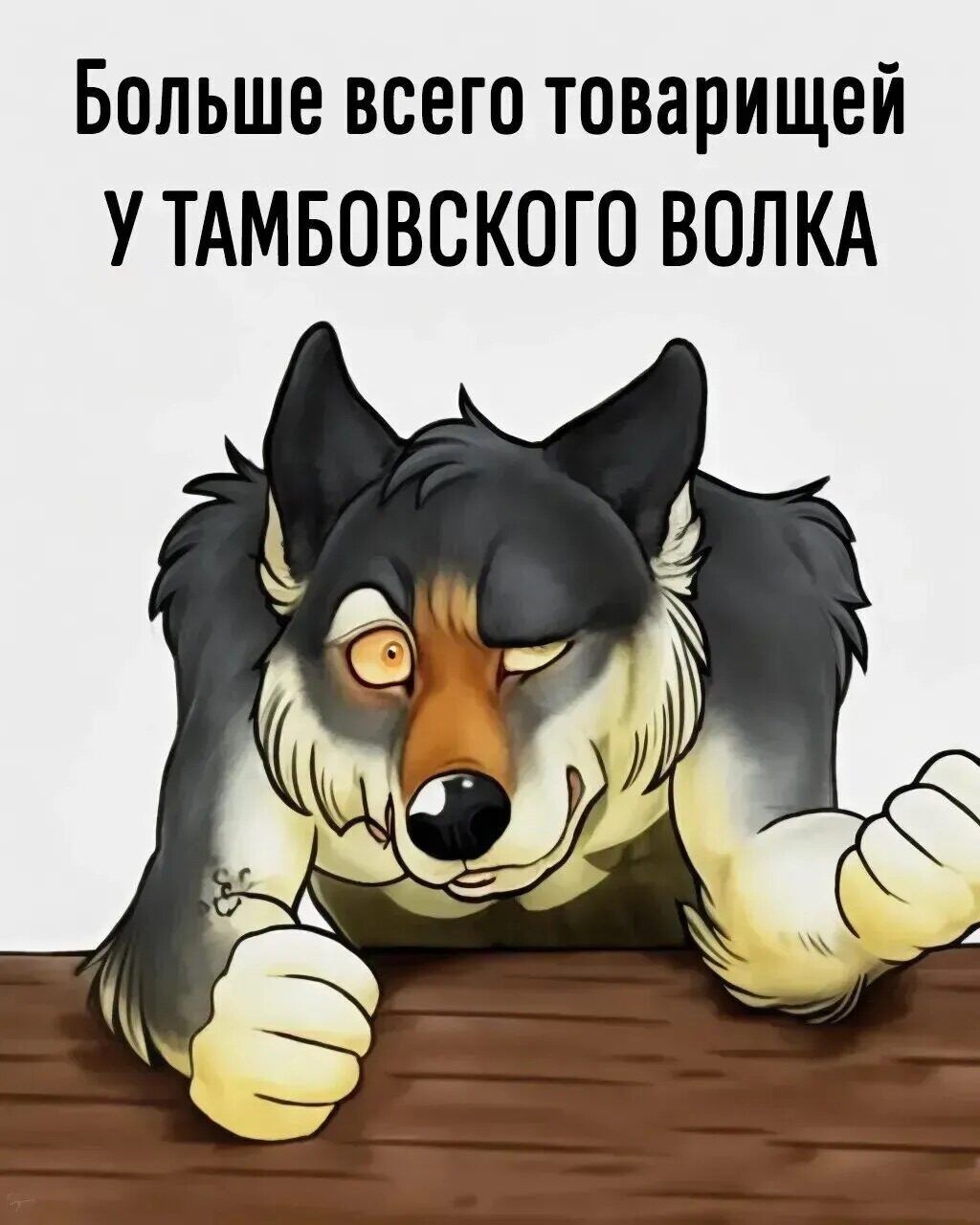 Больше всего товарищей
У ТАМБОВСКОГО ВОЛКА