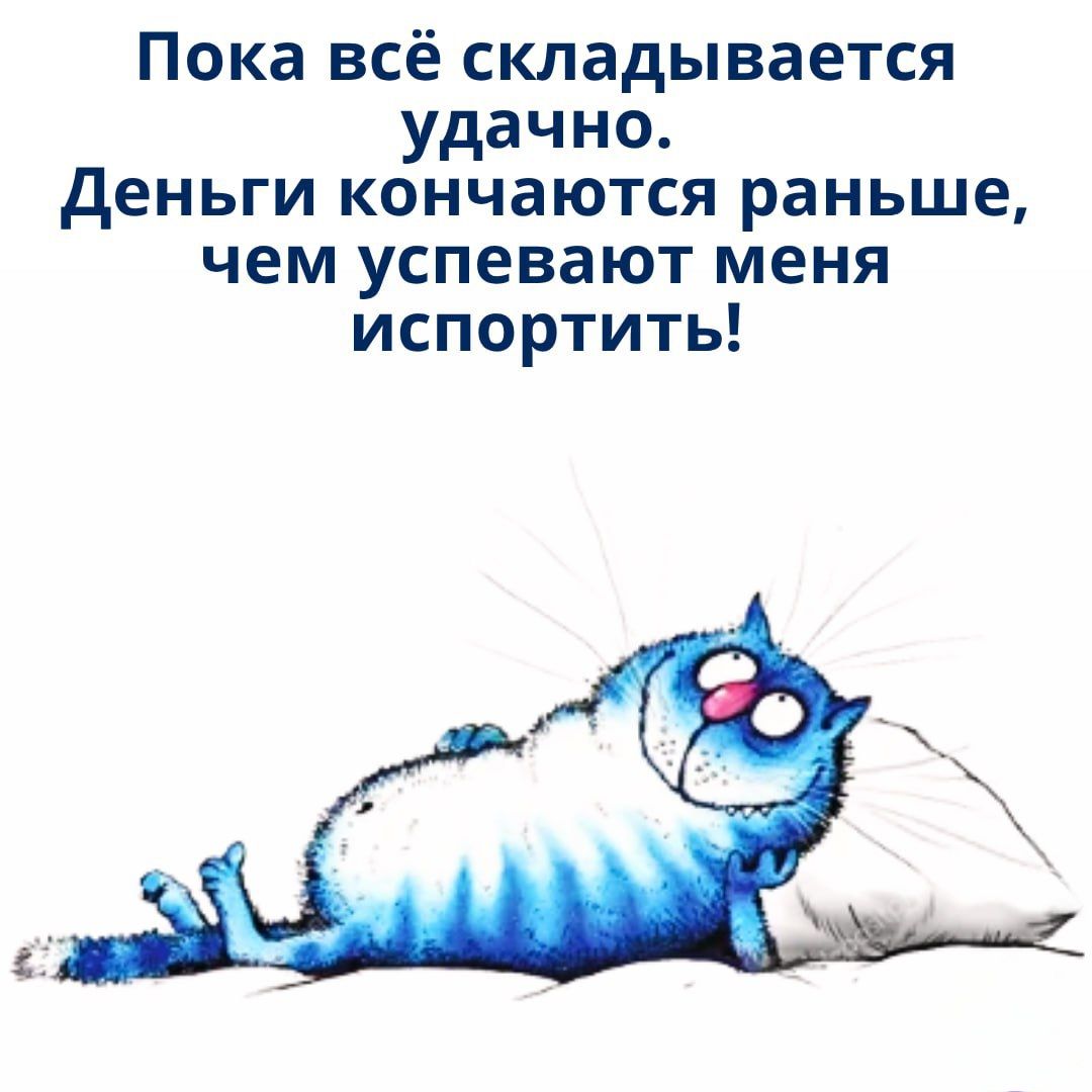 Пока всё складывается удачно. Деньги кончаются раньше, чем успевают меня испортить!