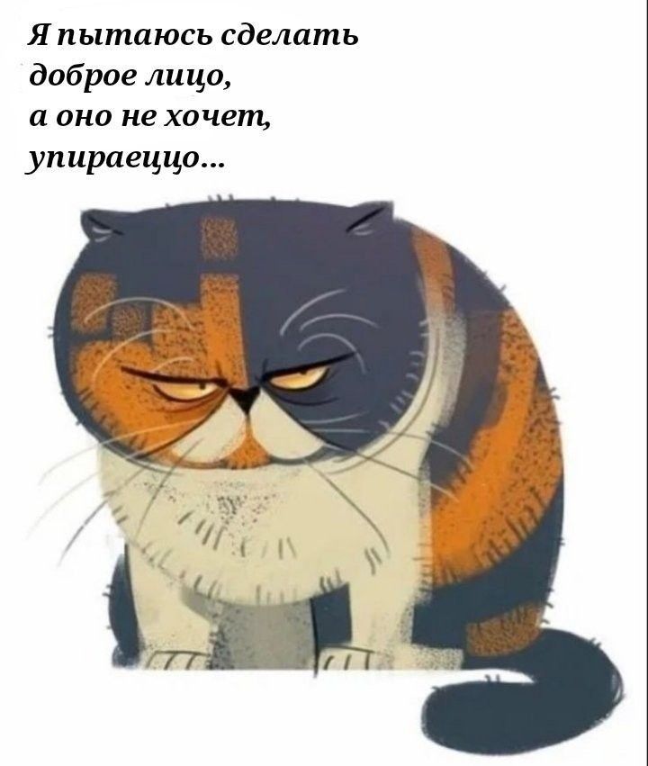 Я пытаюсь сделать доброе лицо, а оно не хочет, упирается...