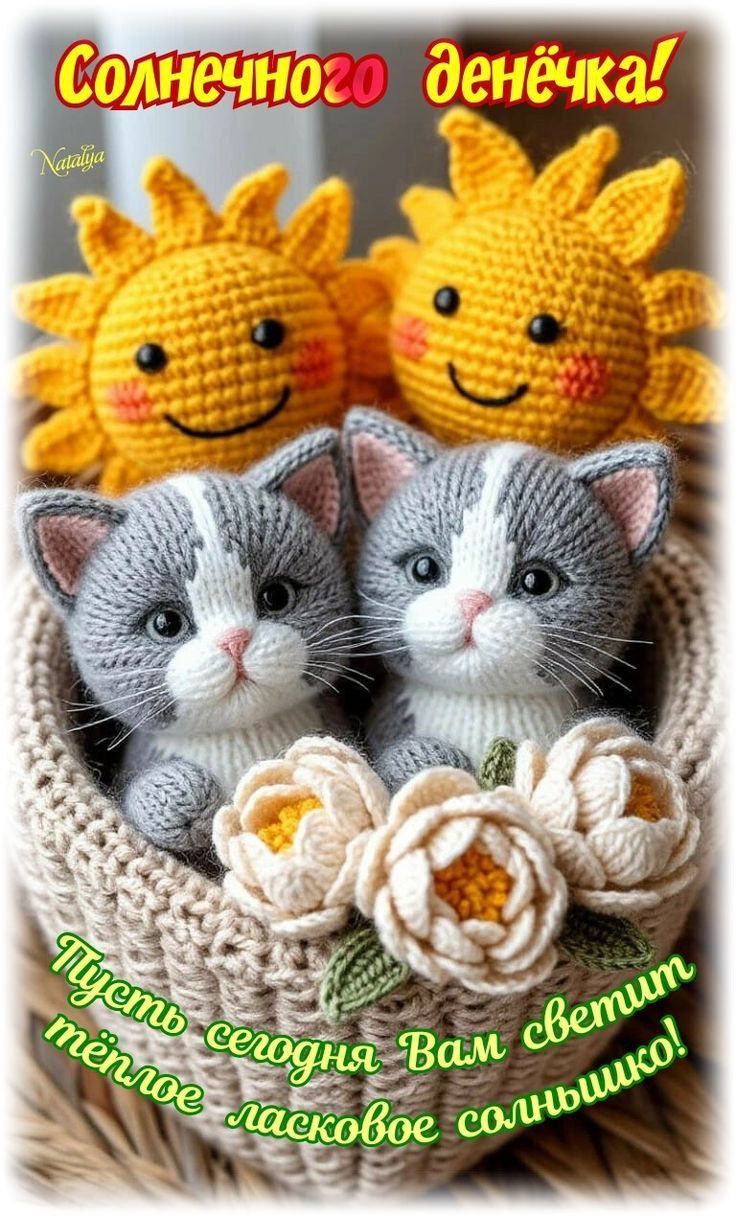 Солнечного денёчка! Пусть сегодня Вам светит тёплое ласковое солнышко!