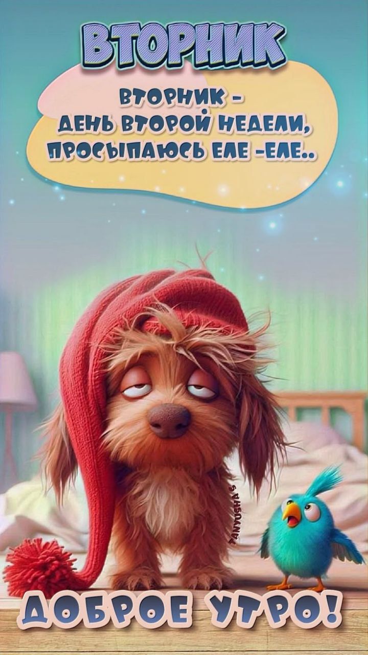 ВТОРНИК
ВТОРНИК - ДЕНЬ ВТОРОЙ НЕДЕЛИ, ПРОСЫПАЮСЬ ЕЕЕ-ЕЕ...
ДОБРОЕ УТРО!