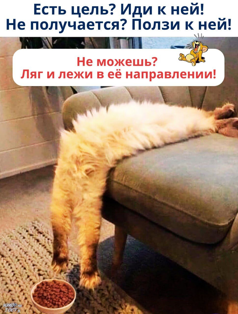 Есть цель? Иди к ней! Не получется? Ползи к ней! Не можешь? Ляг и лежи в её направлении!