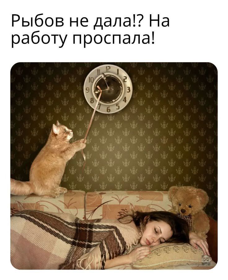 Рыбов не дала!? На работу проспала!