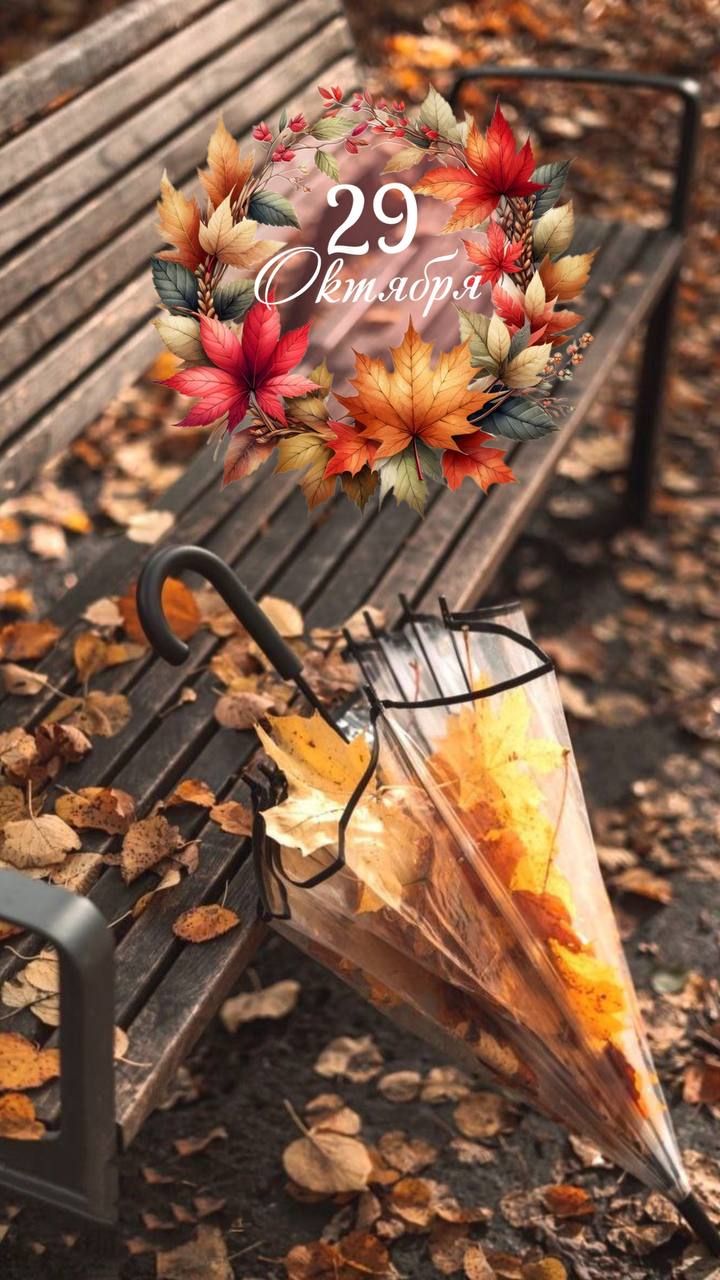 29 Октября