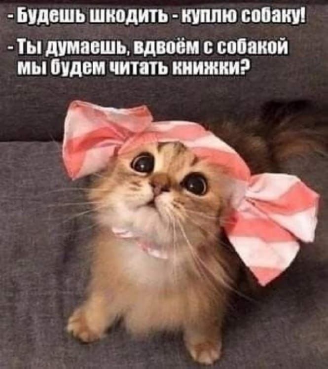 - Будешь шокодить - куплю собаку!
- Ты думаешь, вдвоём с собакой Мы будем читать книжки?