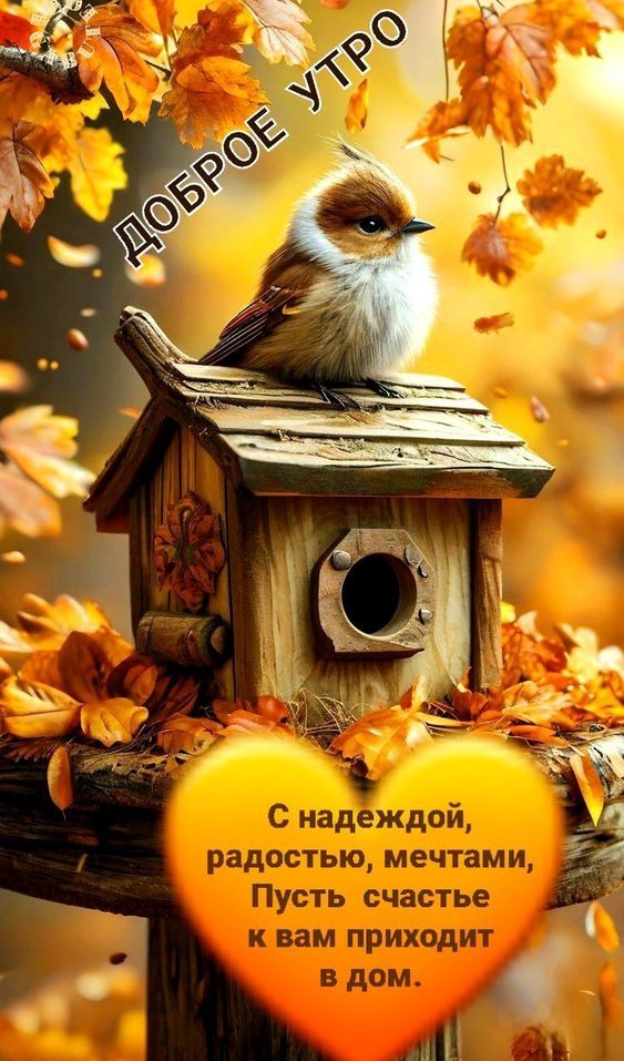 ДОБРОЕ УТРО
С надеждой, радостью, мечтами, Пусть счастье к вам приходит в дом.