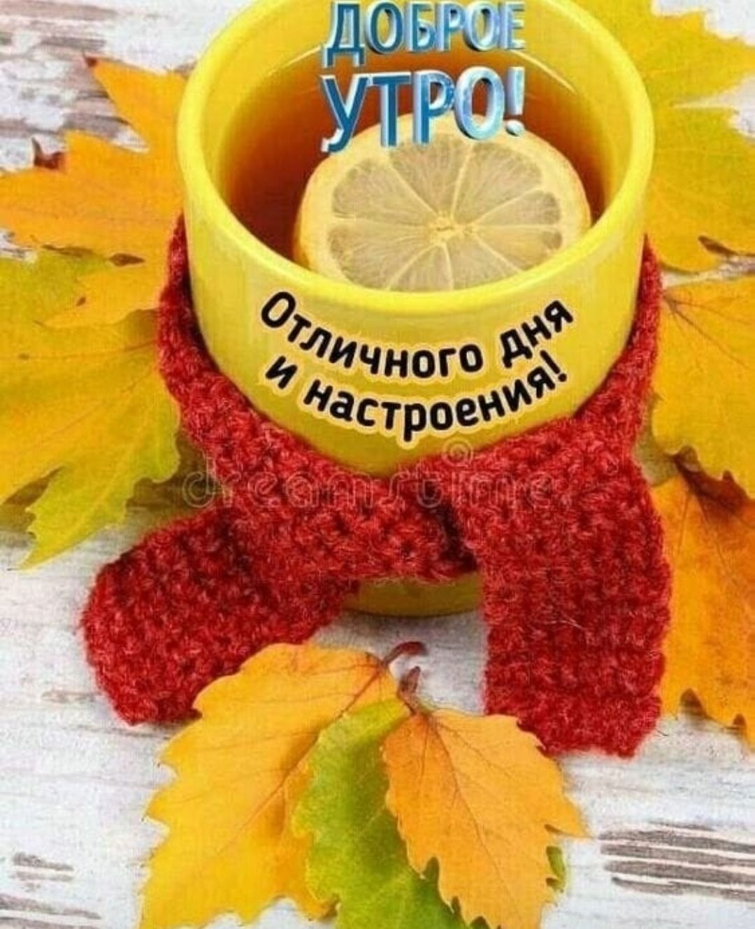 Доброе утро! Отличного дня и настроения!