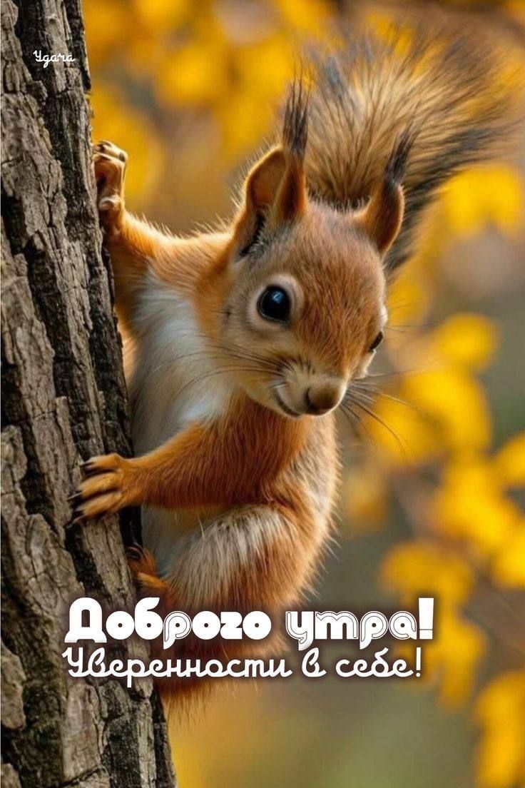 Доброе утро! Уверенности в себе!