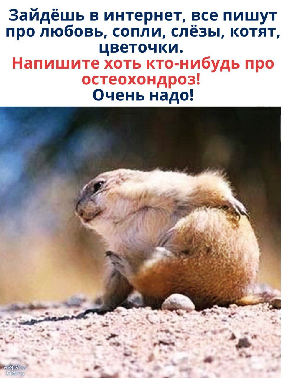 Зайдёшь в интернет, все пишут про любовь, сопли, слёзы, котят, цветочки. Напишите хоть кто-нибудь про остеохондроз! Очень надо!
