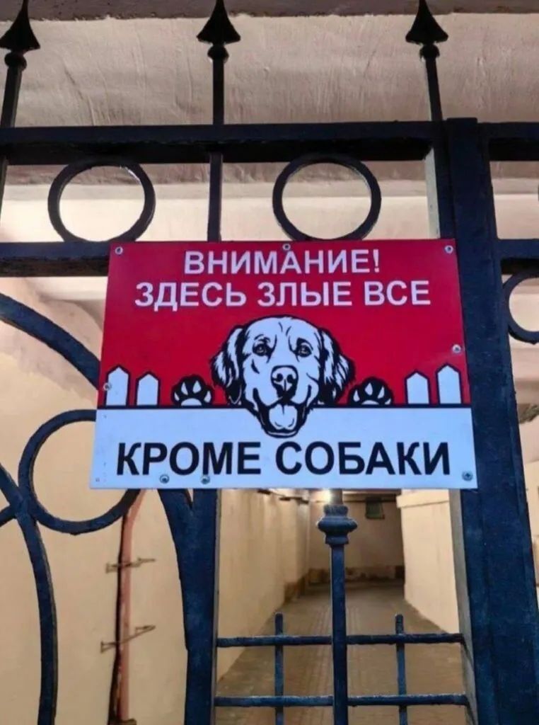 ВНИМАНИЕ! ЗДЕСЬ ЗЛЫЕ ВСЕ
КРОМЕ СОБАКИ