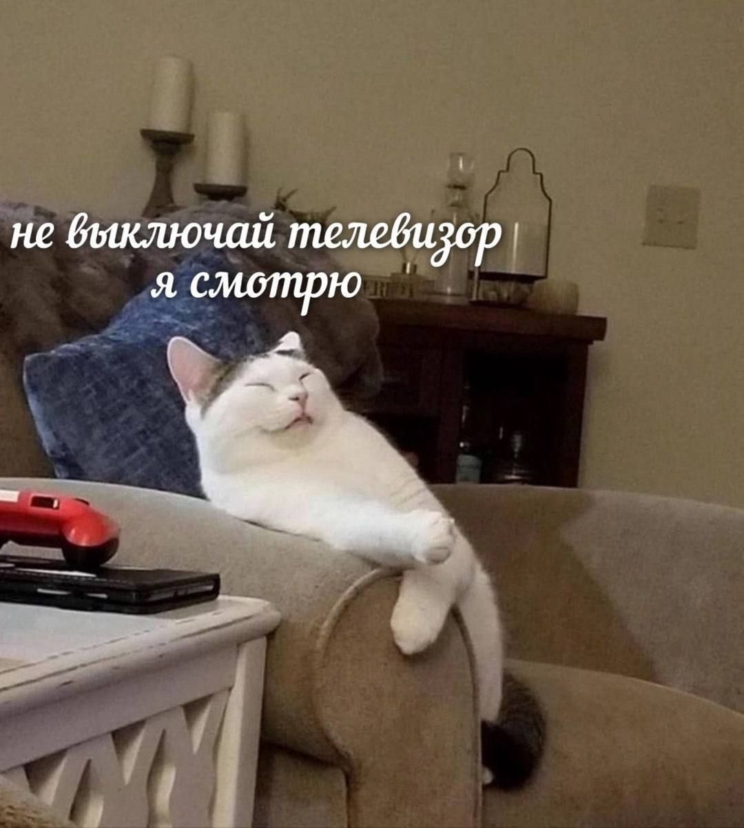 не выключай телевизор я смотрю