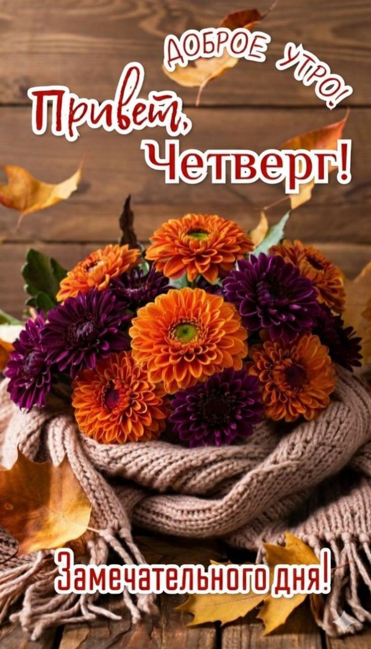 Доброе утро! Привет, Четверг! Замечательного дня!