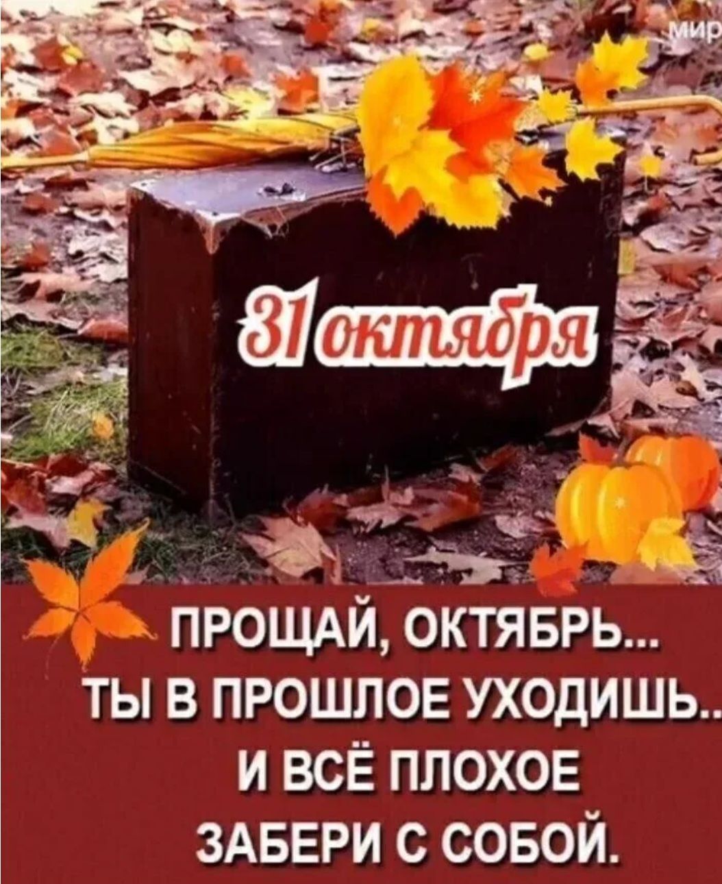 31 октября ПРОЩАЙ, ОКТЯБРЬ... ТЫ В ПРОШЛОЕ УХОДИШЬ.. И ВСЁ ПОХОЕ ЗАБЕРИ С СОБОЙ.