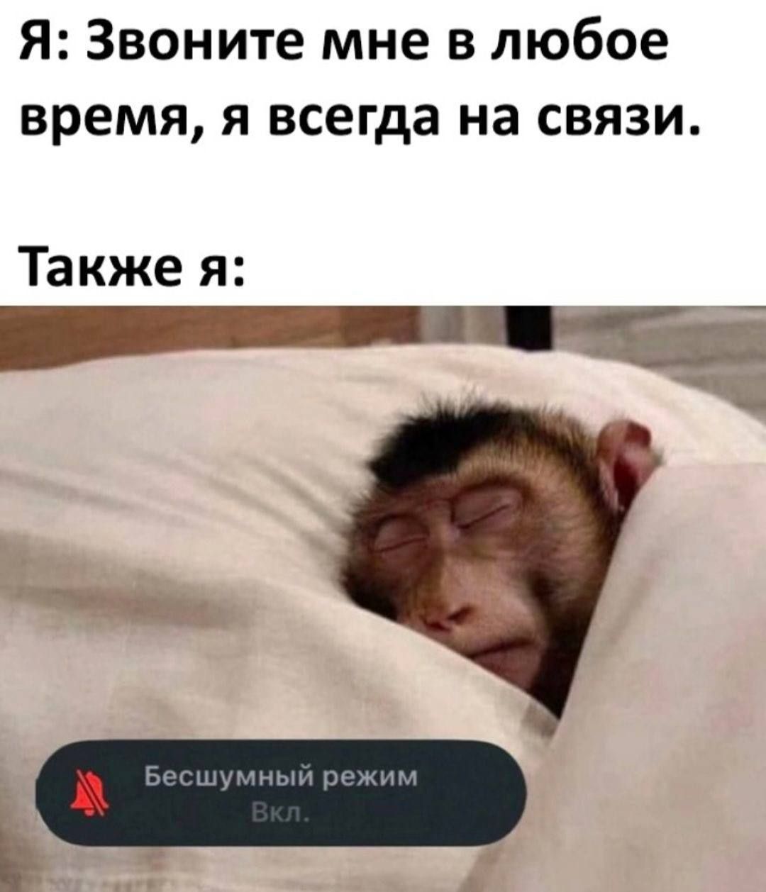 Я: Звоните мне в любое время, я всегда на связи. Также я:
Бесшумный режим Вкл.
