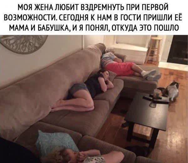 МОЯ ЖЕНА ЛЮБИТ ВЗДРЕМНУТЬ ПРИ ПЕРВОЙ ВОЗМОЖНОСТИ. СЕГОДНЯ К НАМ В ГОСТИ ПОШЛИ ЕЕ МАМА И БАБУШКА, И Я ПОНИЛ, ОТКУДА ЭТО ПОШЛО