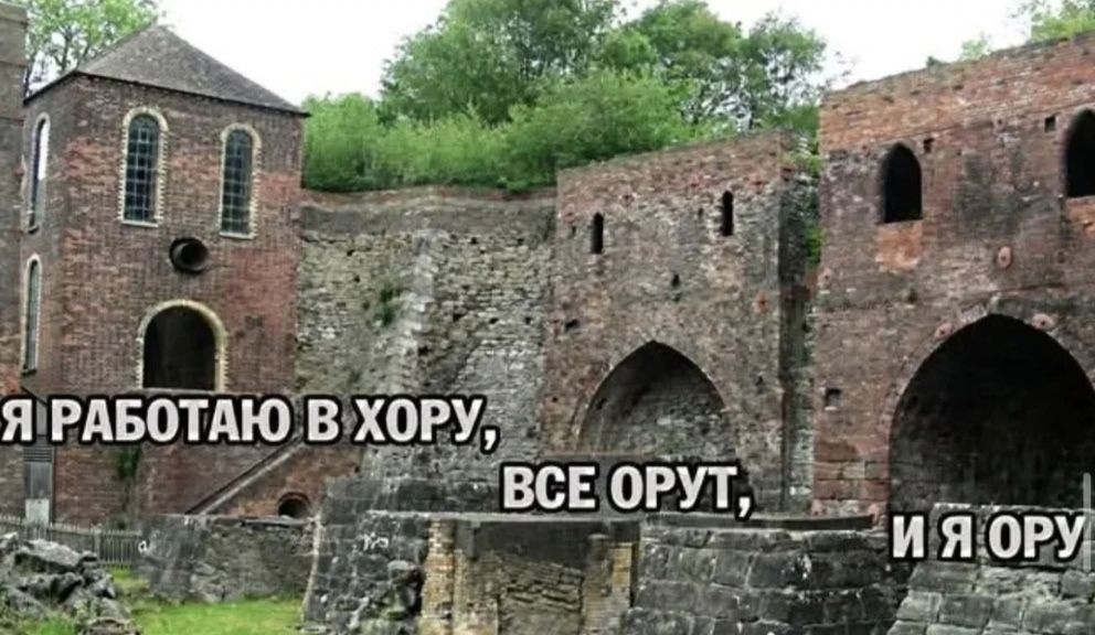 Я РАБОТАЮ В ХОРУ, ВСЕ ОРУТ, И Я ОРУ