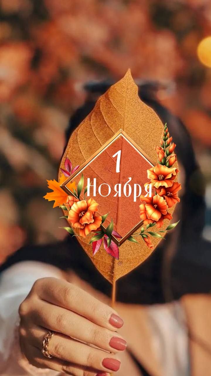 1 Ноября