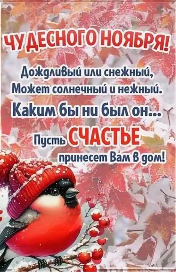 ЧУДЕСНОГО НОЯБРЯ! Дождливый или снежный, Может солнечный и нежный. Как бы ни был он... Пусть СЧАСТЬЕ принесет Вам в дом!