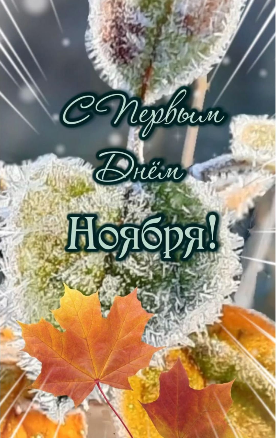 С Первым Днём Ноября!