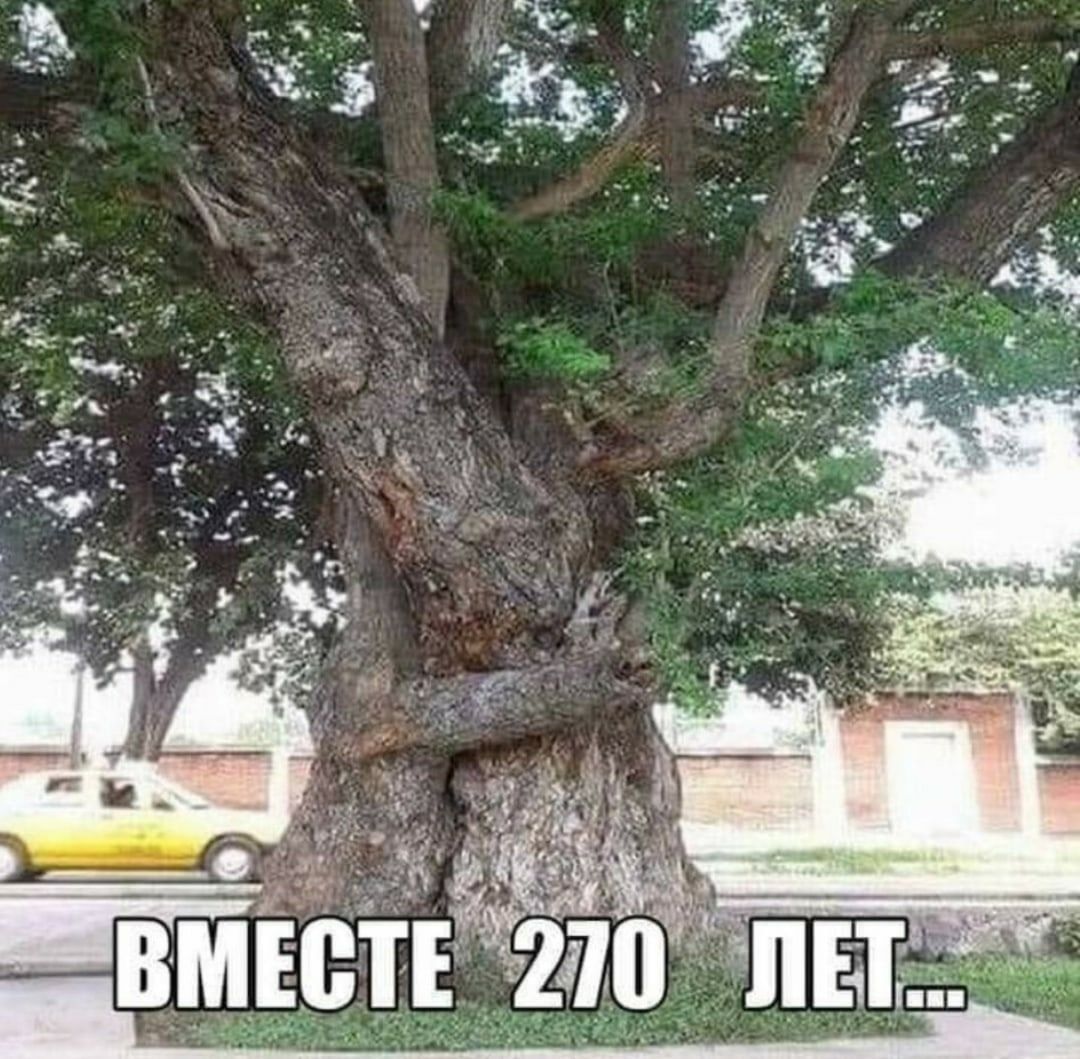 ВМЕСТЕ 270 ЛЕТ...