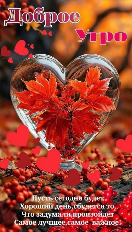 Доброе утро 
Пусть сегодня будет. Хороший день, сбудется то, Что задумали, произойдёт. Самое лучшее, самое важное!