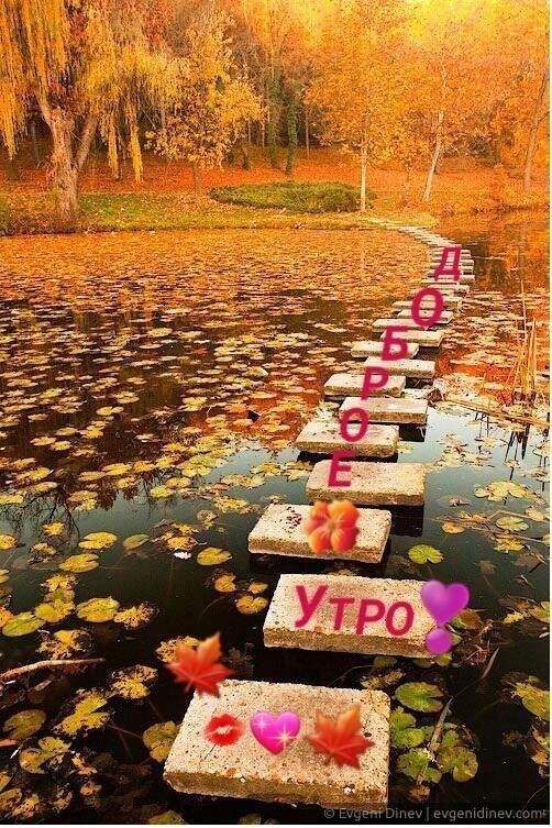 Доброе утро