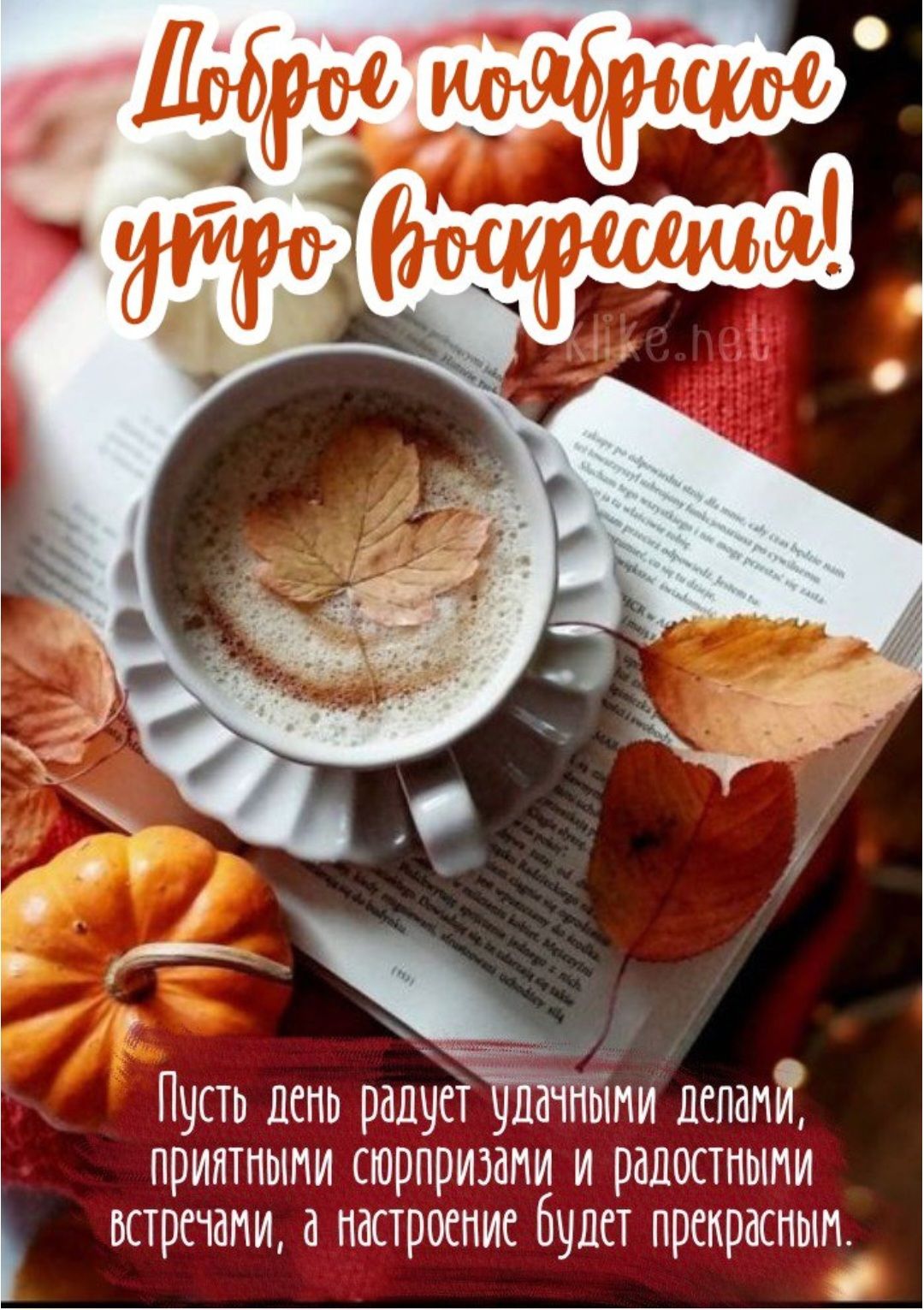Доброе доброе утро воскресенья! Пусть день радует удачными делами, приятными сюрпризами и радостями встречами, а настроение будет прекрасным.