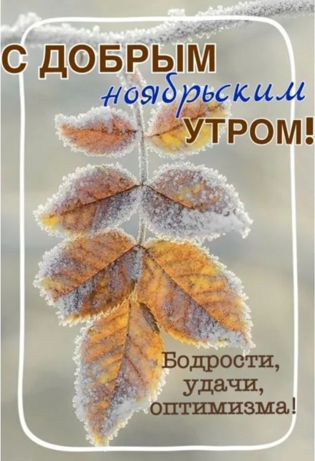 С добрым ноябрьским утром! Бодрости, удачи, оптимизма!