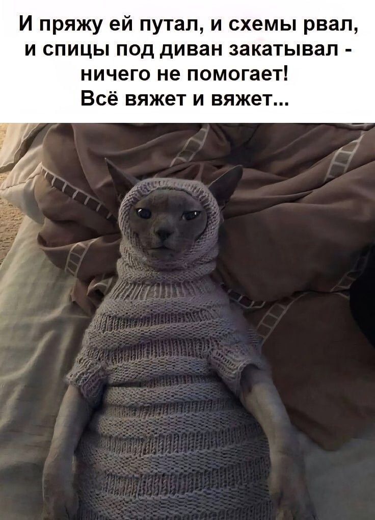 И пряжу ей путал, и схемы рвал, и спиц под диван закатывал - ничего не помогает! Всё вяжет и вяжет...