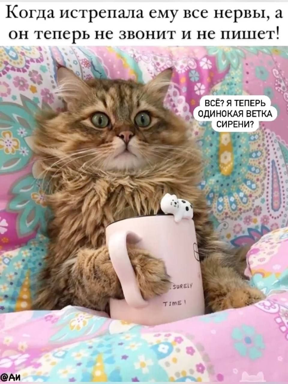 Когда истерпала ему все нервы, а он теперь не звонит и не пишет! Всё? Я теперь одинокая ветка сирени?