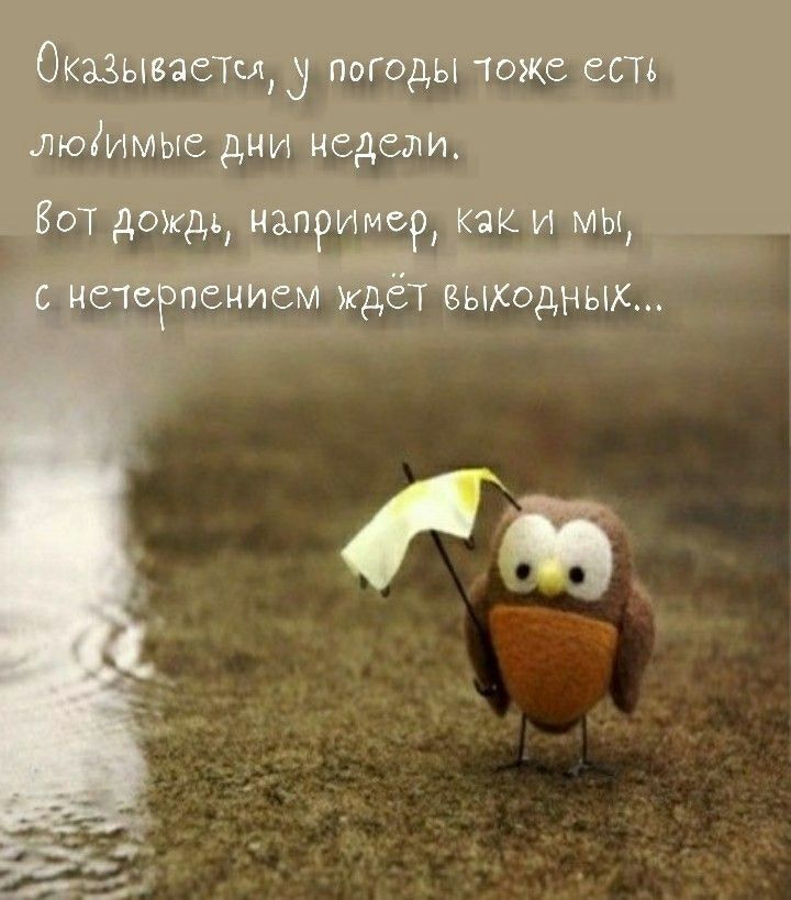 Оказывается, у погоды тоже есть любимые дни недели. Вот дожди, например, как и мы, с нетерпением ждёт выходных...