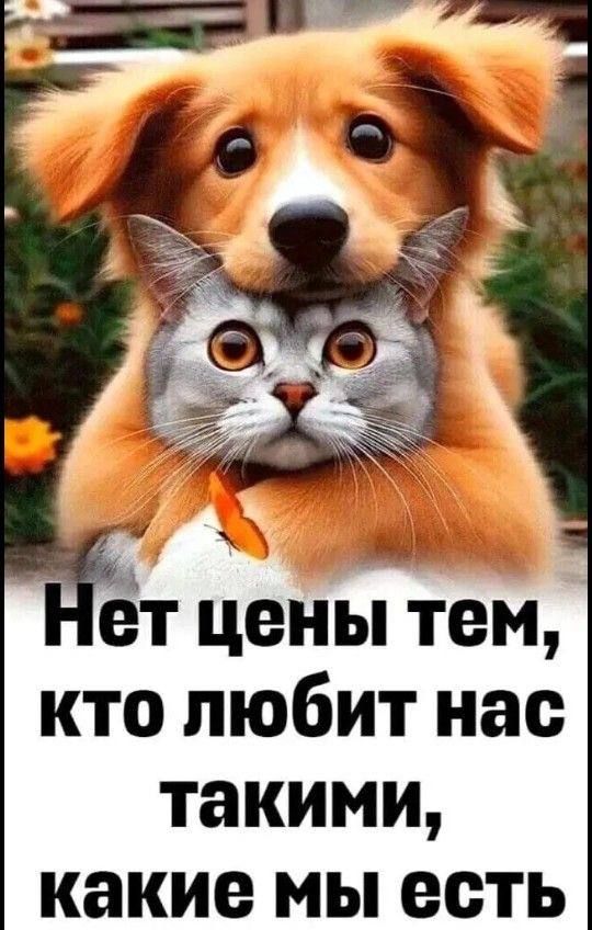 Нет цены тем, кто любит нас такими, какие мы есть