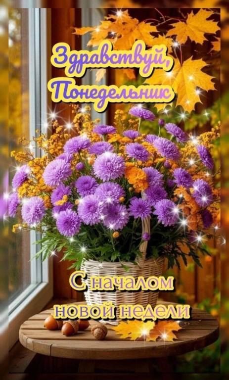 Здравствуй, Понедельник\nС началом новой недели