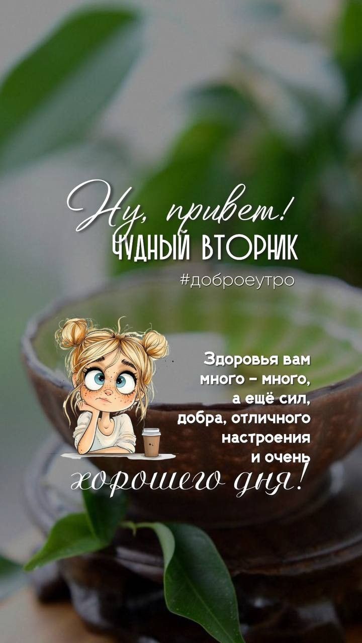 Ну, привет! ЧУДНЫЙ ВТОРНИК #доброеутро Здоровья вам много – много, а еще сил, добра, отличного настроения и очень хорошего дня!
