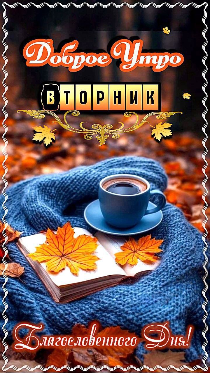 Доброе утро Вторник Благословенного Дня! Благословенного дня!