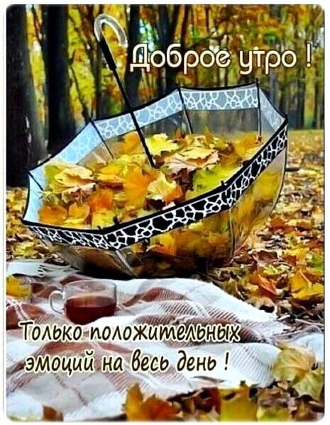 Доброе утро! Только положительных эмоций на весь день!