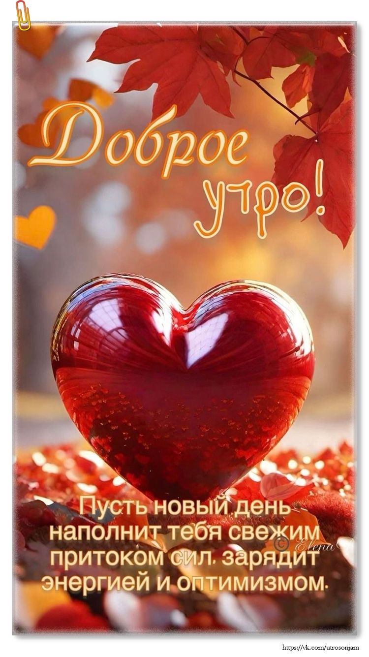 Доброе утро! Пусть новый день наполнит тебя свежим притоком сил, зарядит энергией и оптимизмом.