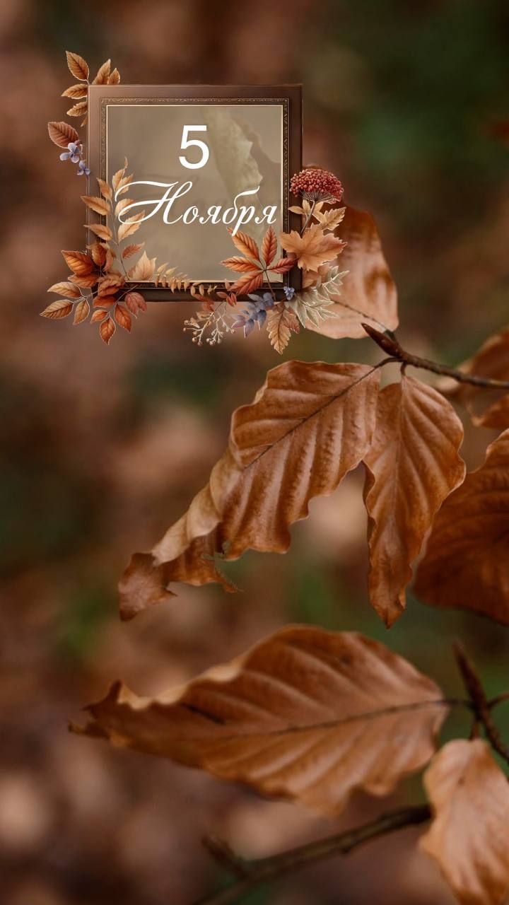 5 Ноября