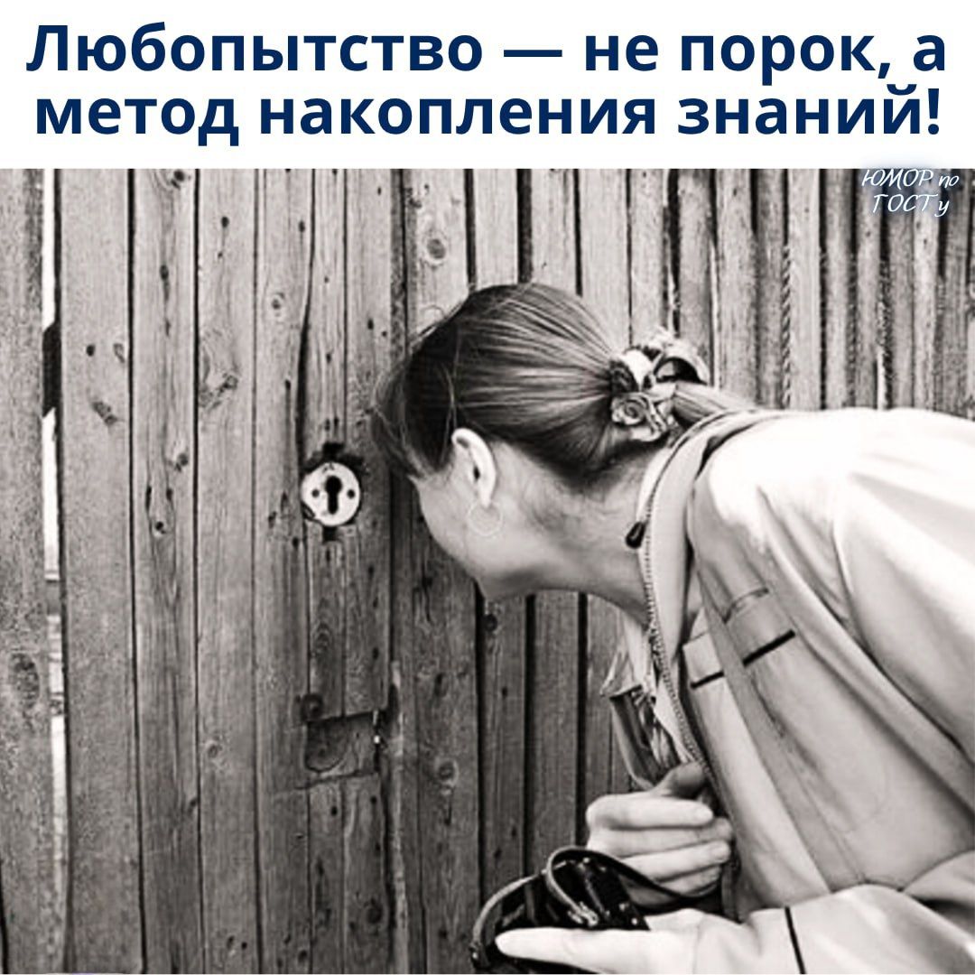 Любопытство — не порок, а метод накопления знаний!