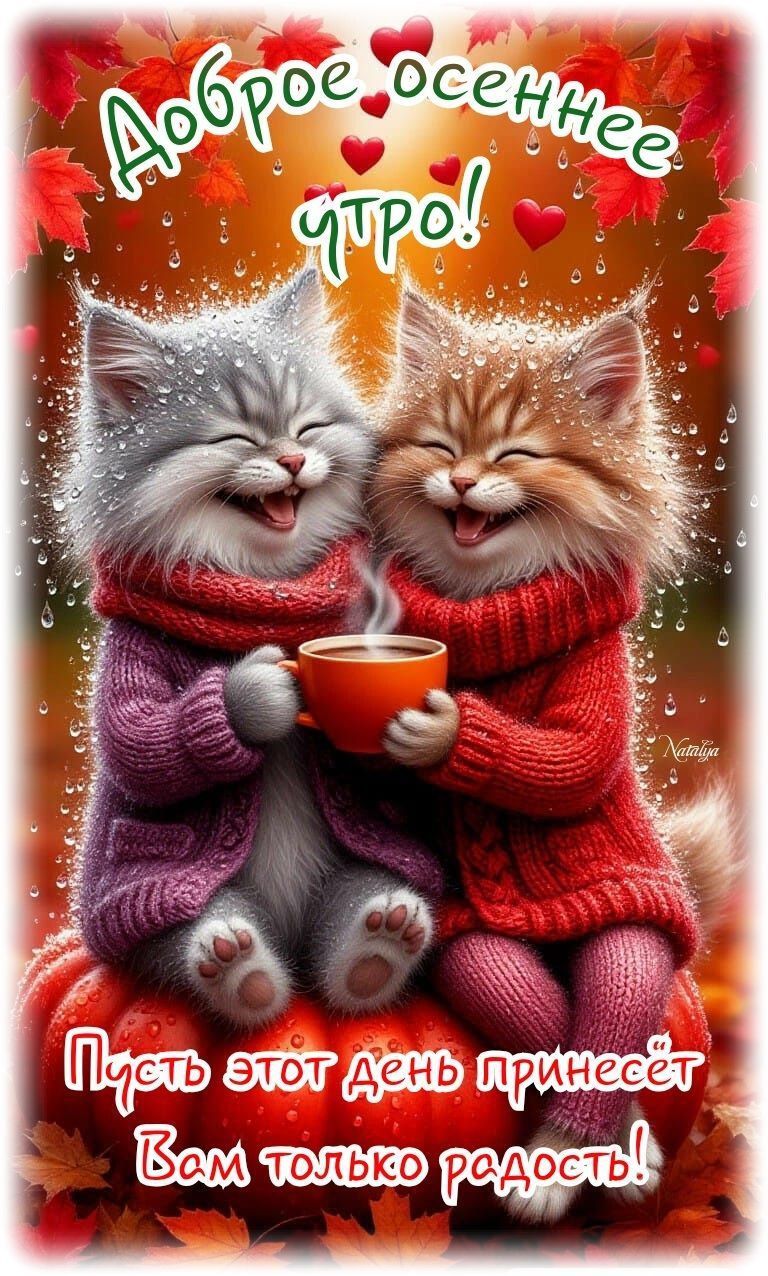 Доброе осеннее утро! Пусть этот день принесёт вам только радость!