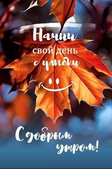 Начни свой день с улыбки. С добрым утром!