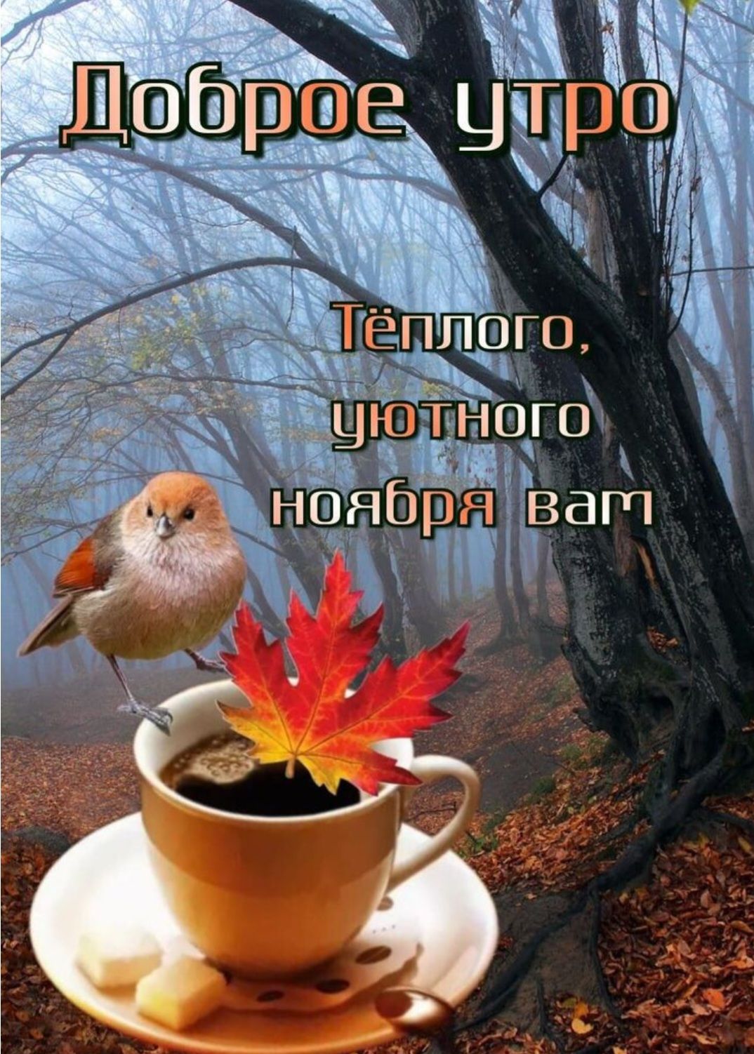 Доброе утро Тёплого, уютного ноября вам