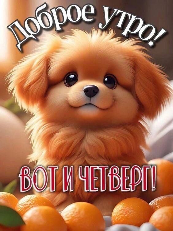 Доброе утро! Вот и четверг!