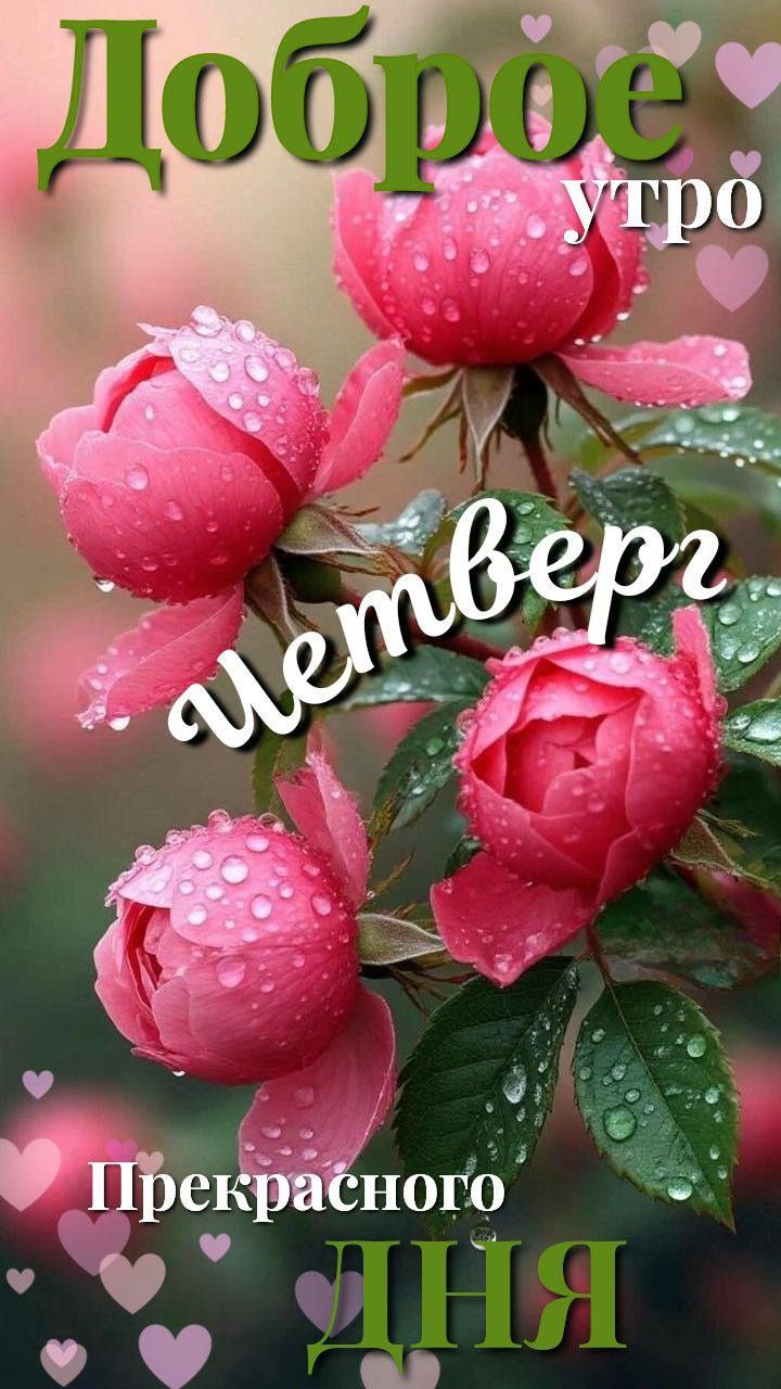 Доброе утро четверг Прекрасного дня