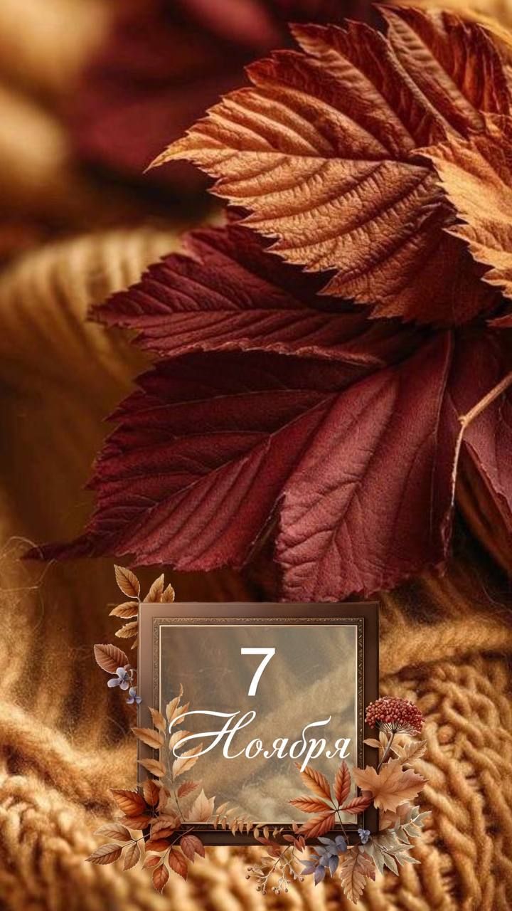 7 Ноября