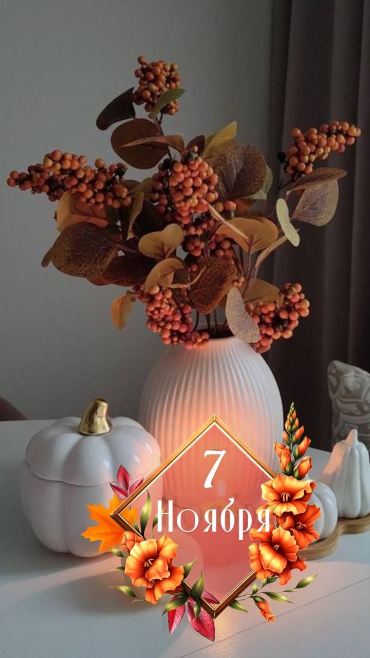 7 ноября