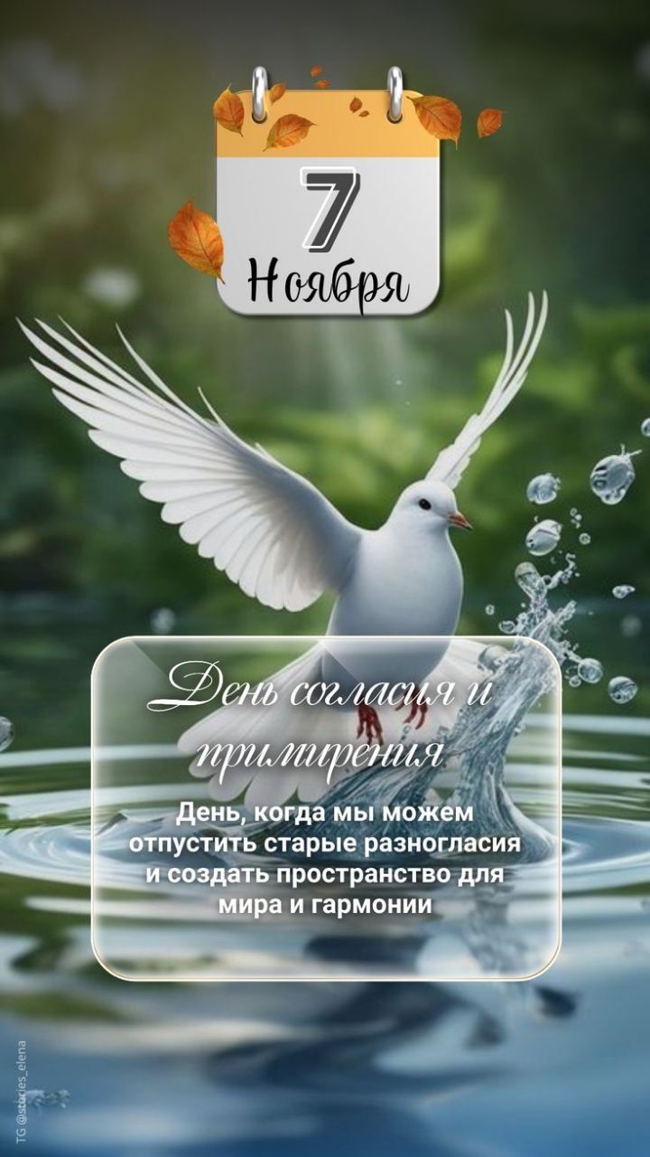 7 Ноября
День согласия и примирения
День, когда мы можем отпустить старые разногласия и создать пространство для мира и гармонии