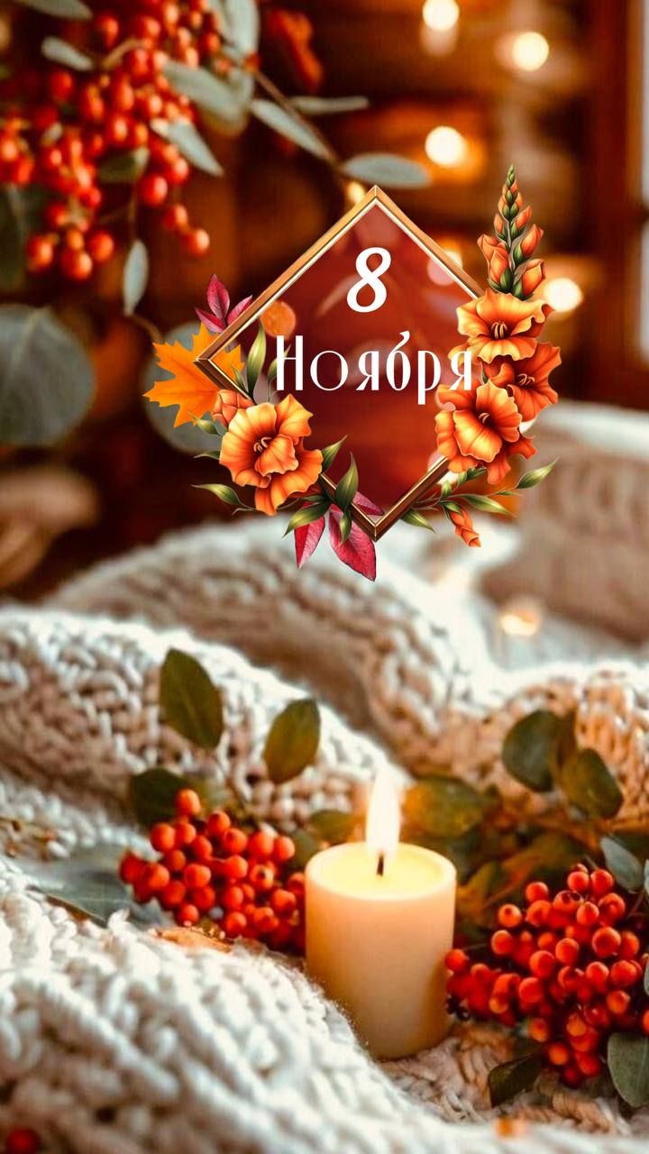 8 Ноября