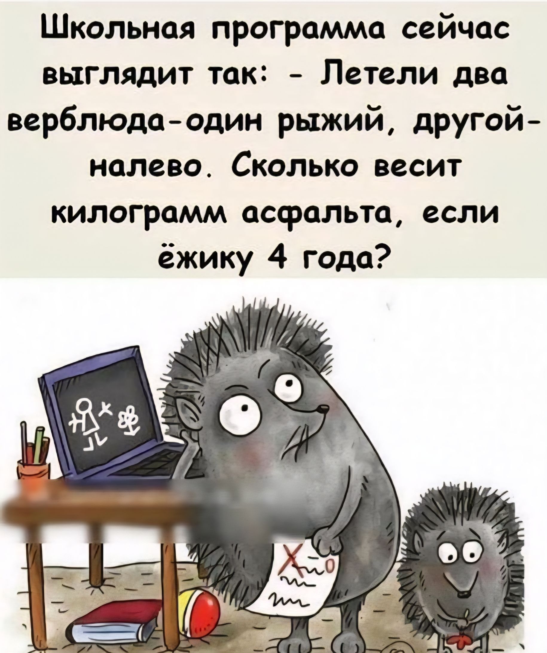 Школьная программа сейчас выглядит так: - Летели два верблюда - один рыжий, другой налево. Сколько весит килограмм асфальта, если ёжику 4 года?